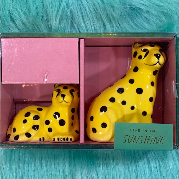 Live In The Sunshine Cheetah Salt & Pepper Set - Picture 4 of 9